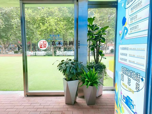 办公室绿植租赁软装，让身于自然之中办公！