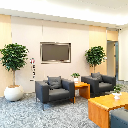 西安办公室绿植租赁企业|西安嘉禾苗圃