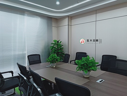 西安办公室花卉绿植租赁布置方案